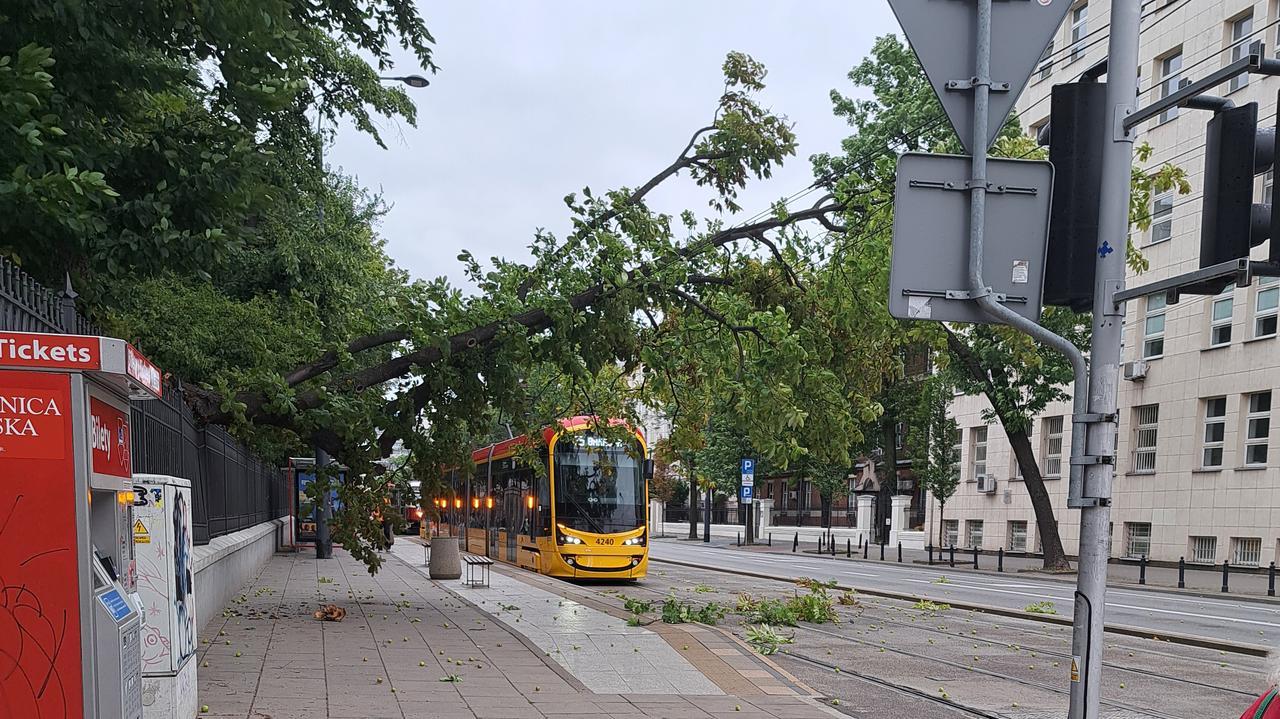 Masowien.  Warnungen vor starkem Wind, Einsätze der Feuerwehr