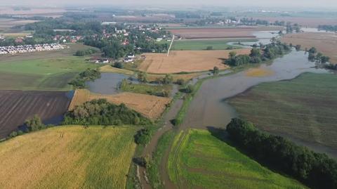 Rzeka Ślęza koło Wrocławia, 17.09.2024r.