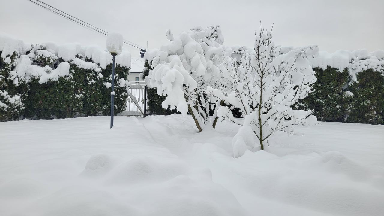 Śnieżna niedziela. Zimowa Polska na waszych zdjęciach i nagraniach