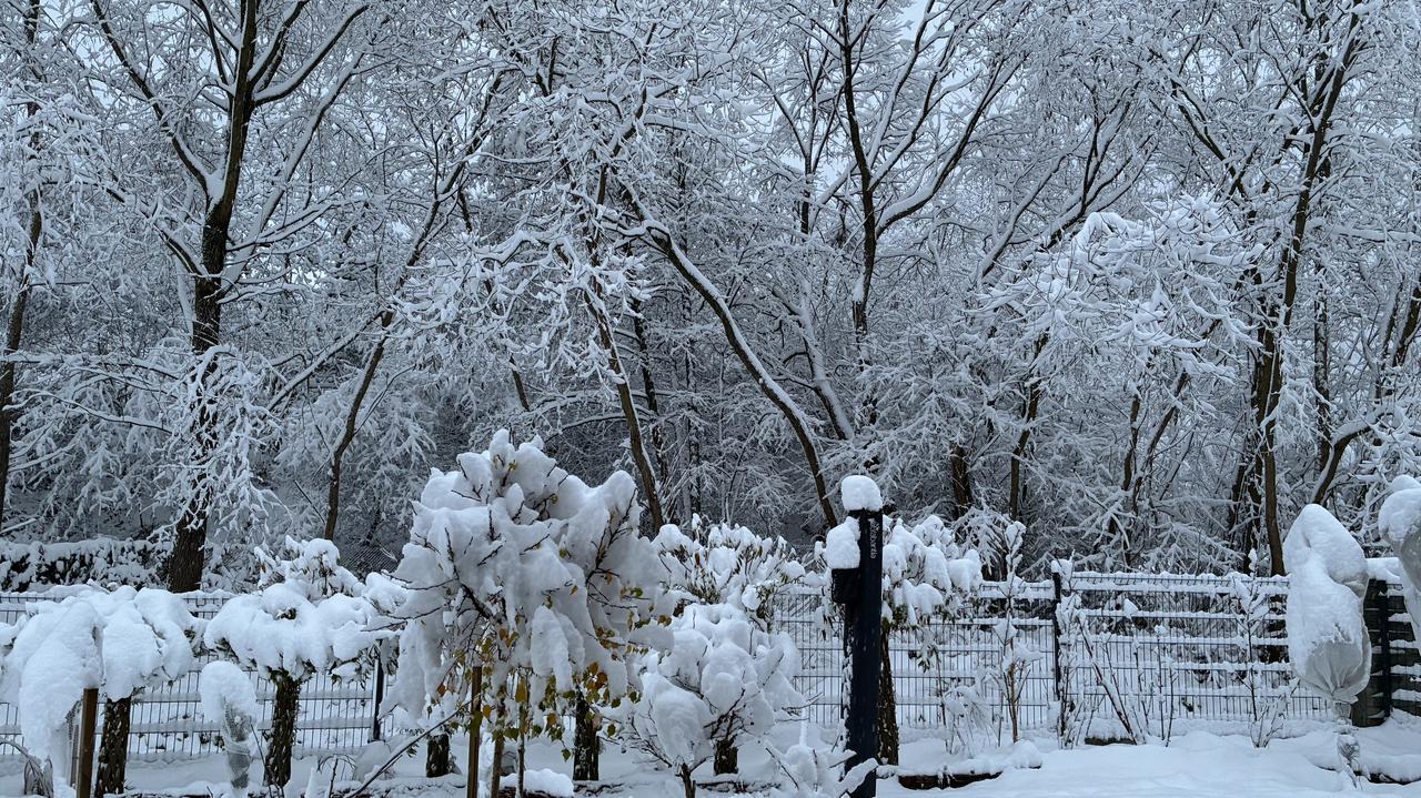 Jesienny atak zimy. Śnieżne krajobrazy na waszych zdjęciach