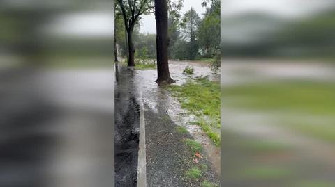 Rzeka Łomnica na wysokości Mysłakowic