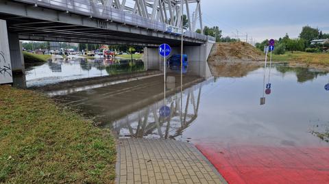 Drzewo przewróciło się na przedszkole w Gdyni