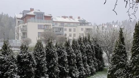 Pozdrowienia z zaśnieżonej Gdyni
