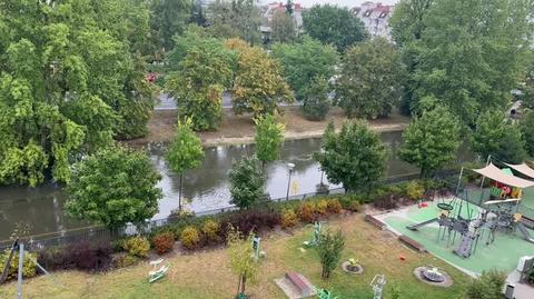 Warszawski Wilanów „nad rzeką”, Al. Wilanowska