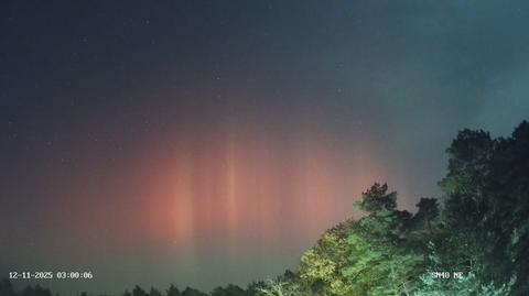 Nocna zorza polarna, okolice Fromborka (Warmińsko-Mazurskie)