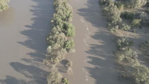 Zbiornik Polder Buków (Śląskie)