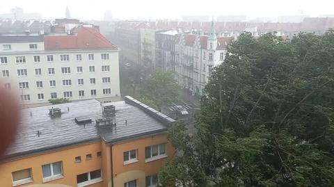 Wichura zwaliła potężną topolę w Szczecinie