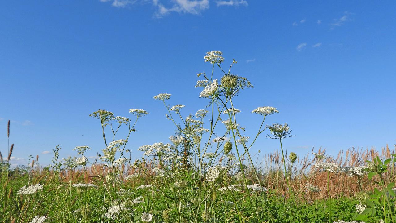 Pogoda na dziś - sobota, 9.08. Dużo słońca, zrobi się upalnie