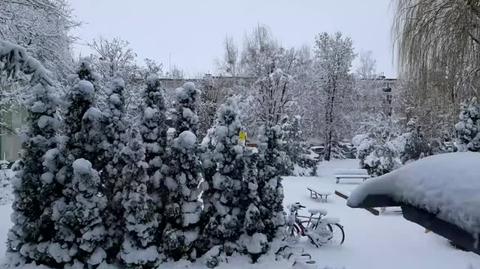 Mielec dzisiejszego ranka pod śniegiem I nadal pada trudne warunki na drogach chodniki śliskie 