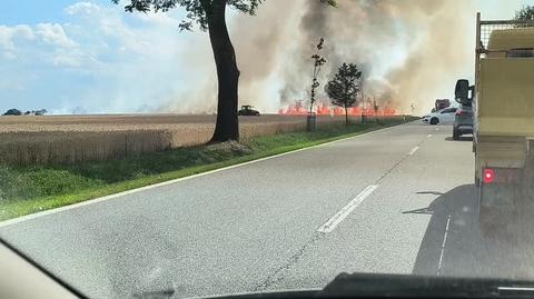 Pożar zbóż w miejscowości Strzelce-Kolonia