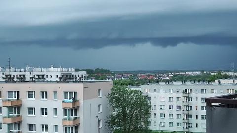 Komórka burzowa w Olsztynie (Warmińsko-mazurskie)