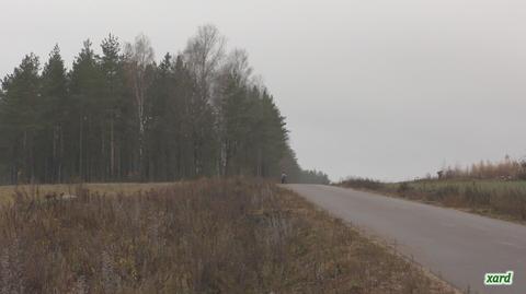 Okolice Krynek. Przez drogę przebiegło stado żubrów 