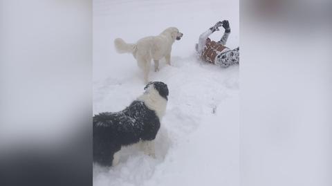 Śnieg w miejscowości Siekierczyna (Małopolskie)