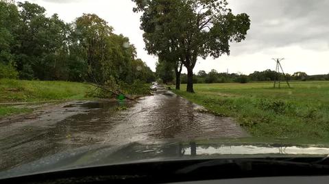 Skutki porannej nawałnicy w Konstantynowie Łódzkim