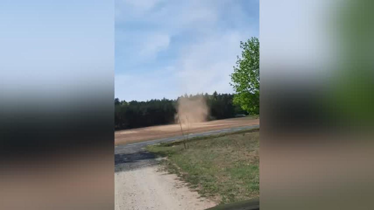 Wir pyłowy na Mazowszu. "Wielkie zdziwienie"