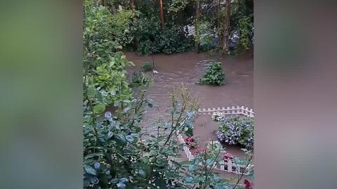 Zdarzenie na prywatnej posesji w Gdańsku