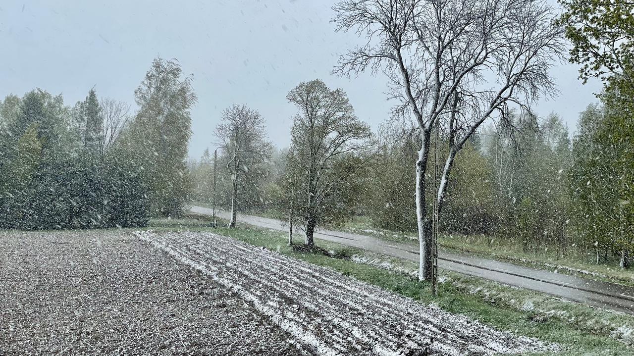 Pogoda. Zrobiło się zimowo. Sypnęło śniegiem. Wasze zdjęcia i nagrania