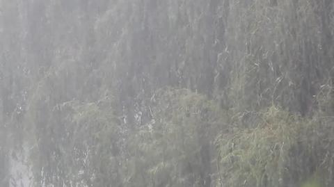 Pociemniało i leje deszcz