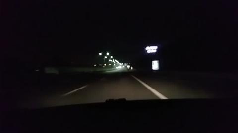 Jeleń na autostradzie A4