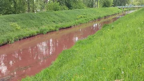 Rzeka Brynica po pożarze w Siemianowicach Śląskich 