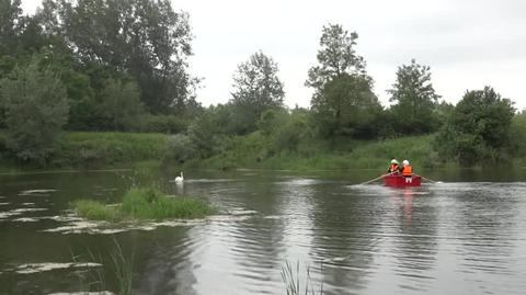 Straż pożarna pospieszyła na ratunek młodemu łabędziowi