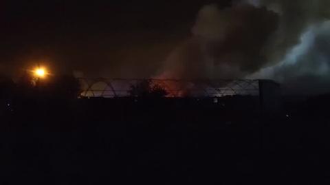 Pożar hali w Mysłowicach - WIDEO