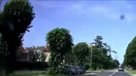 Piesi na pasach