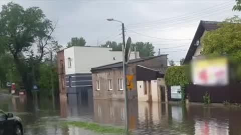 Zalany Sosnowiec