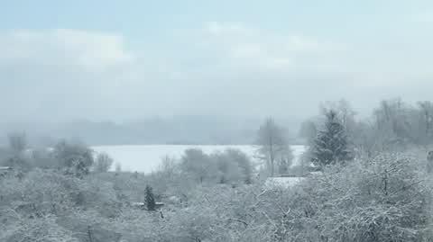 PASŁĘK