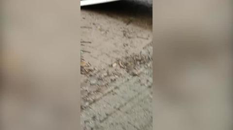 Wideo z zalania wioski Gemünd z Eifel w NRW