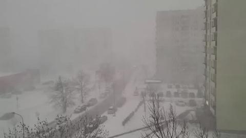 Śnieżyca w Sosnowcu