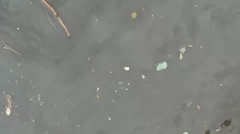 Poznań ul