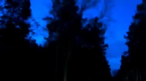 Czyżby Meteoryt?
