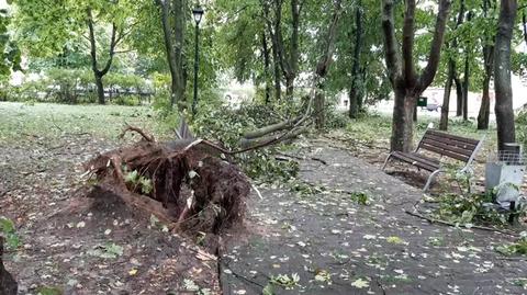 Burza w miejscowości Okrzeja, woj