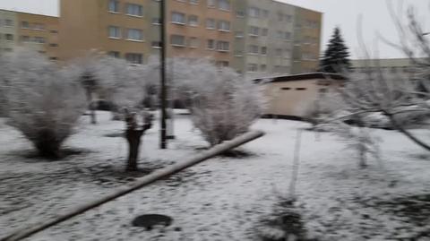 zima  Miasto Biłgoraj