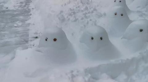 Atak zimy na Podkarpaciu