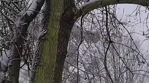BYTOM W ŚNIEGU