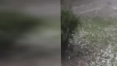 Grad w Nowym Sączu