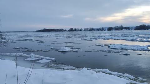 Kra na Wiśle koło Kwidzyna 06