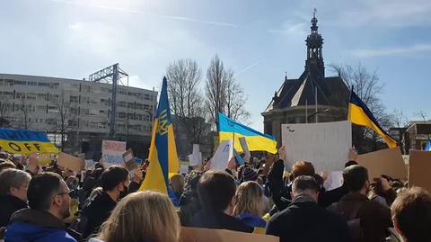 Demonstracja antywojenna w Hadze, przy wspoludziale Polek i Polaków