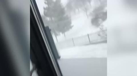 Śnieżyca w Beskidach