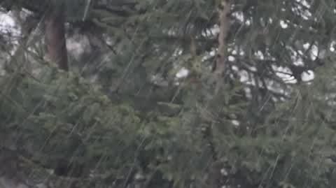 Śnieżyca w Marcu!!