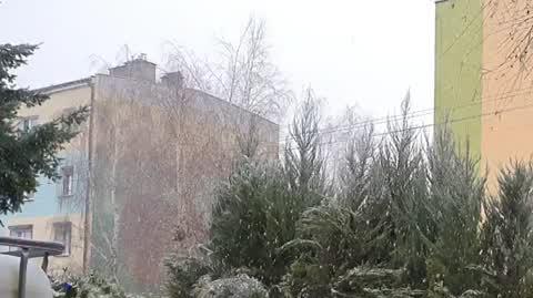 GNIEZNO 2021 01 24