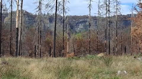 Mała Prachowska Brama - nagranie po pożarze w Czeskiej Szwajcarii