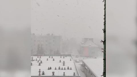 Burza Śnieżna nad Rogoźnem Wielkopolskim