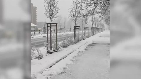 Śnieżna niedziela w Opolu